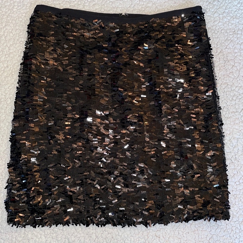Ann Taylor Sequence Skirt  Size 6 petite